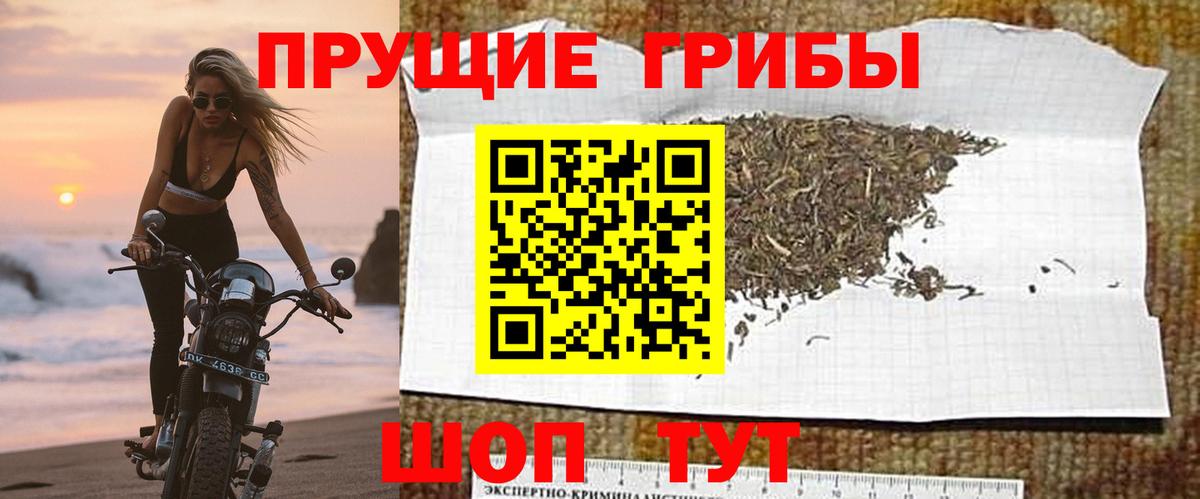 Галлюциногенные грибы мицелий Туапсе
